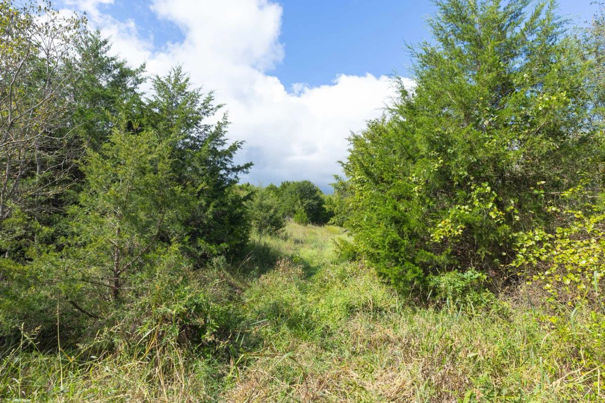 Decorative background for Reserves At Cattail Cove Phase II Tract 88 image 6