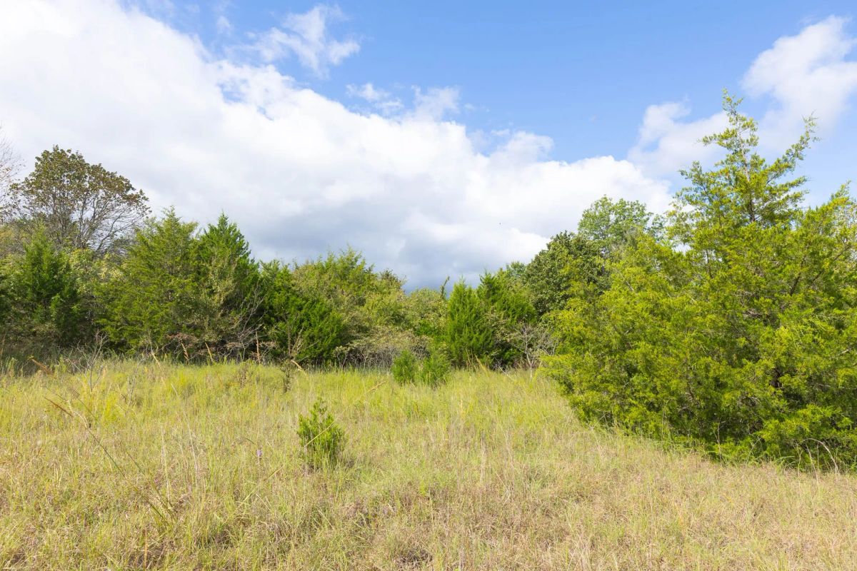 Decorative background for Reserves At Cattail Cove Phase II Tract 88 image 8