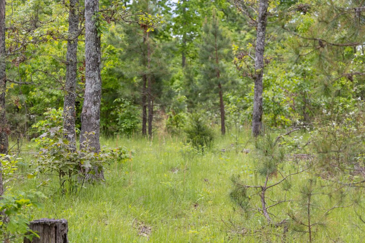 Sleepy Hollow Phase II Tract 76 - Main image