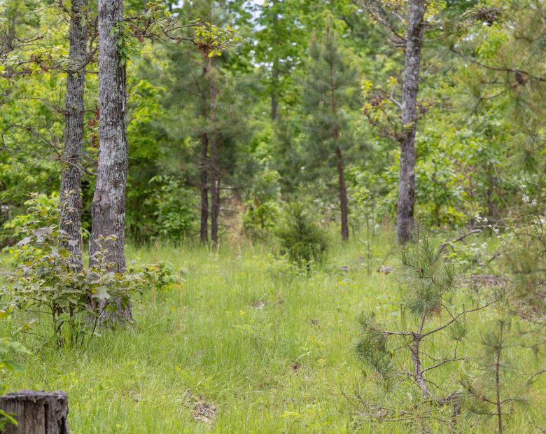 Sleepy Hollow Phase II Tract 76 in Texas County, MO