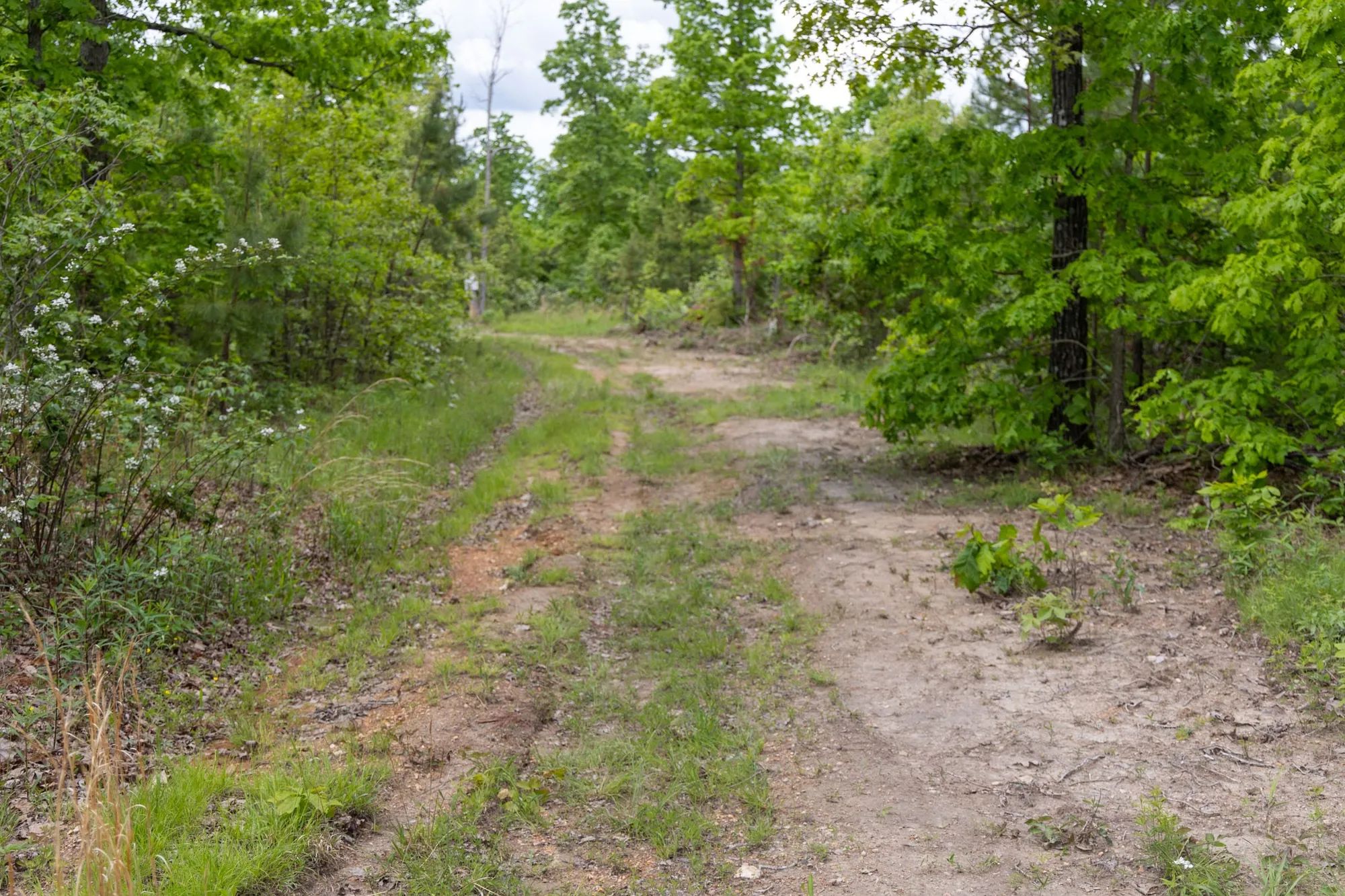 Sleepy Hollow Phase II Tract 76 in Texas County, MO