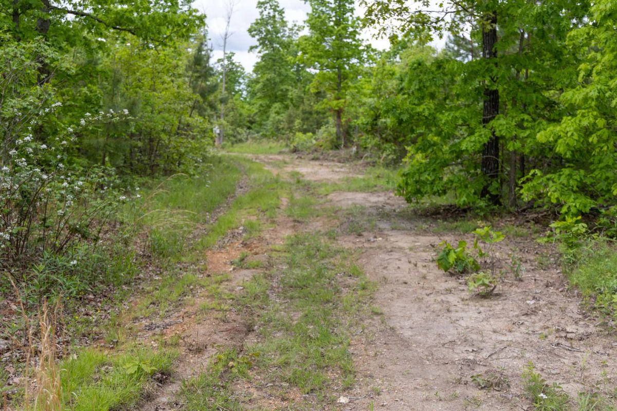 Sleepy Hollow Phase II Tract 76 - Image 2