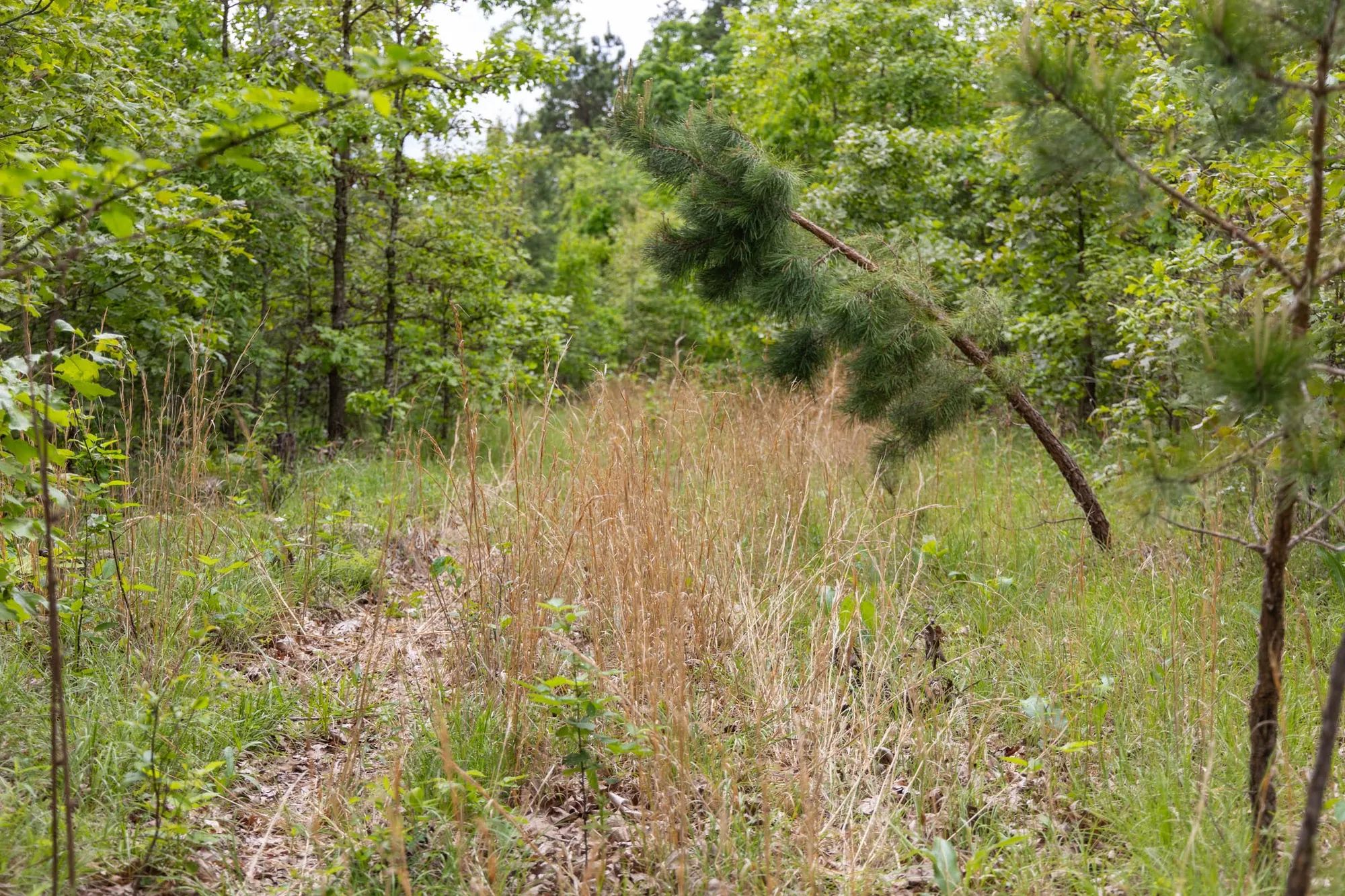 Sleepy Hollow Phase II Tract 76 in Texas County, MO