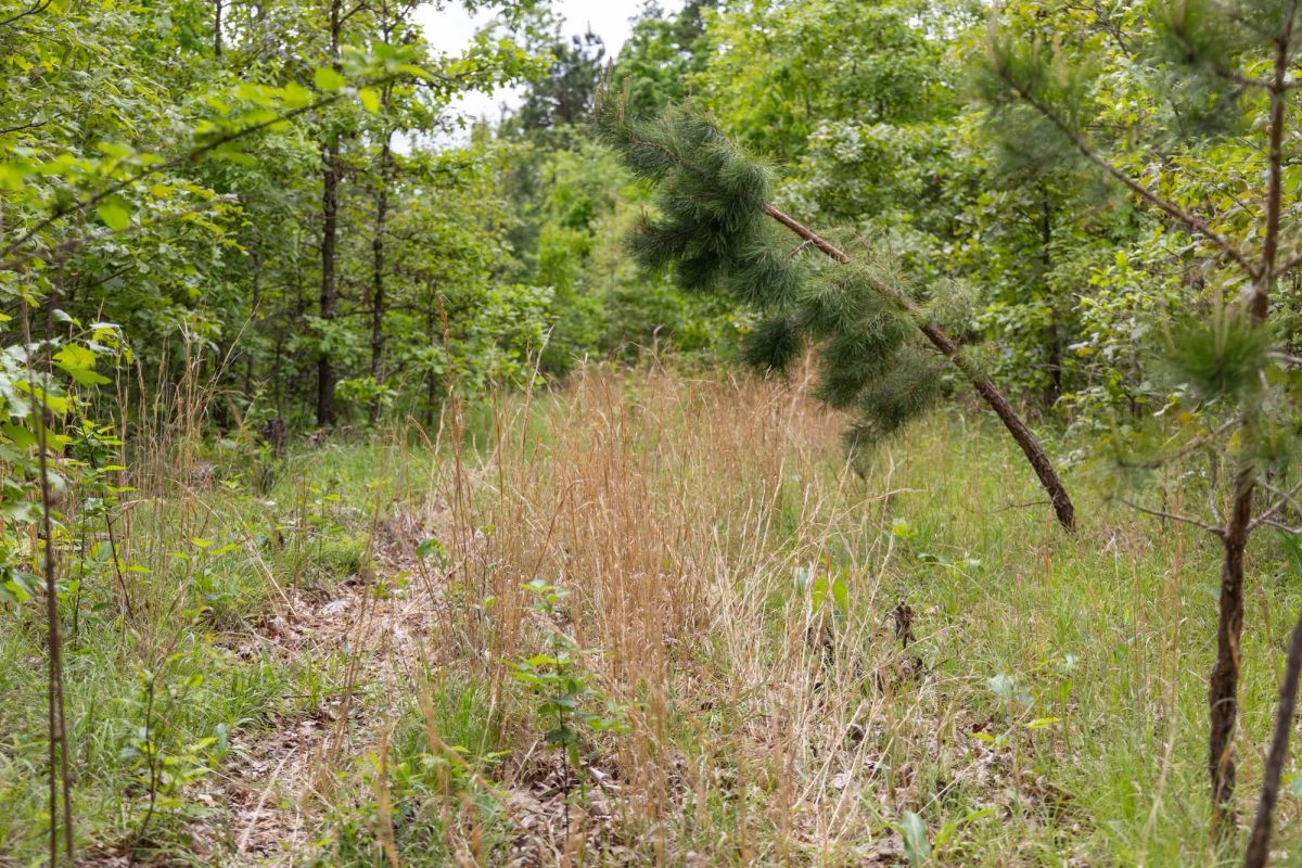 Sleepy Hollow Phase II Tract 76 - Image 3