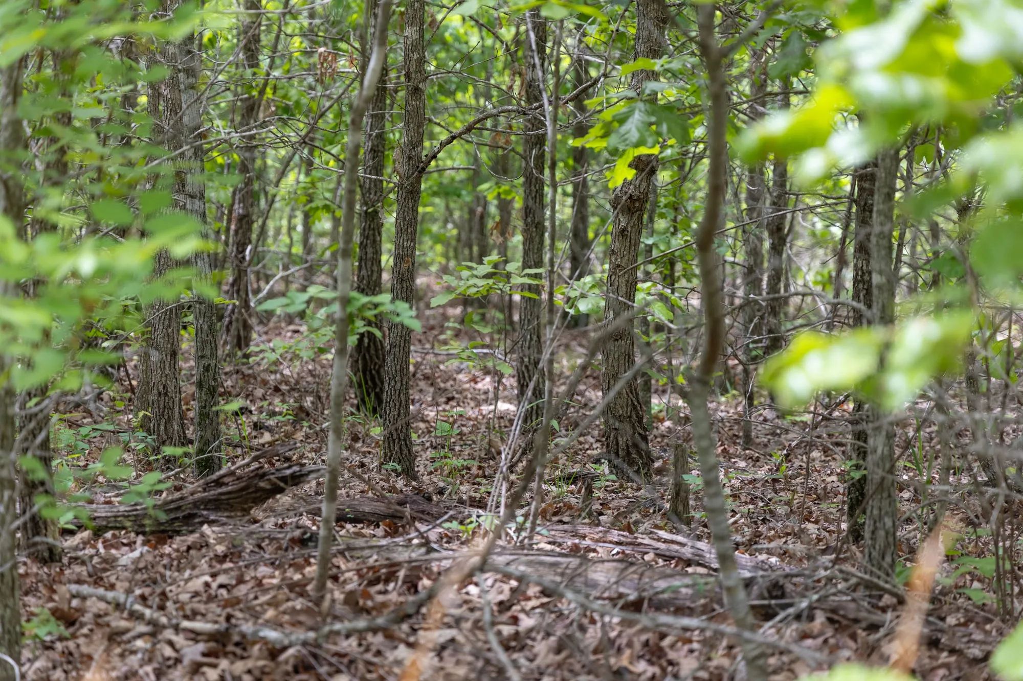 Sleepy Hollow Phase II Tract 76 in Texas County, MO