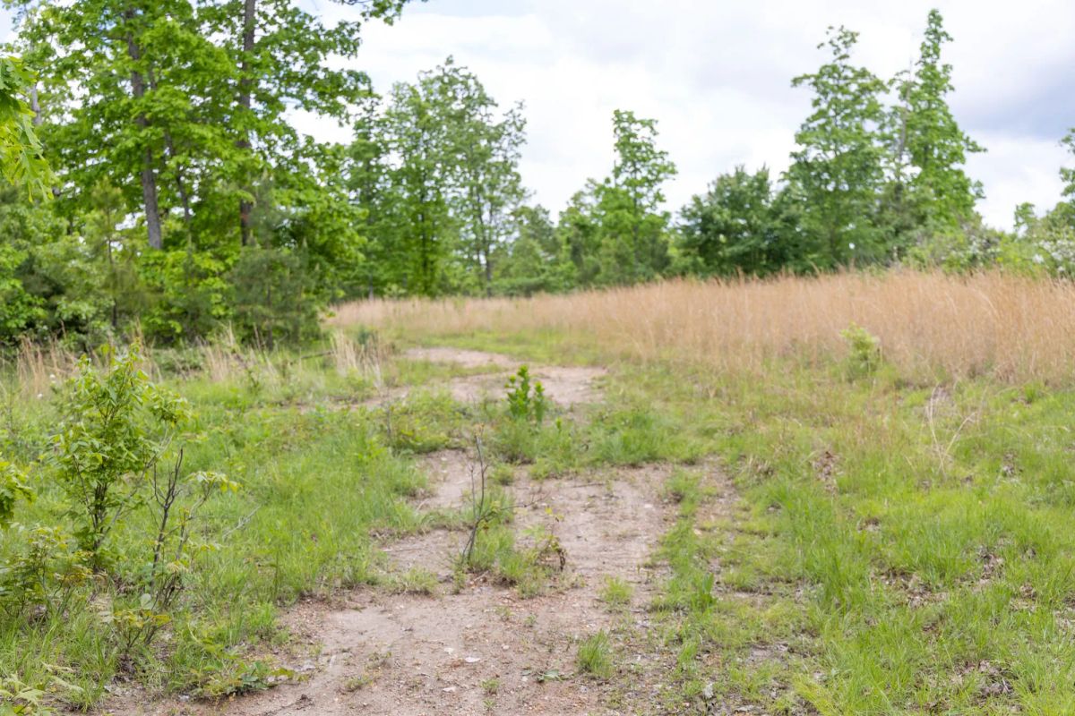 Decorative background for Sleepy Hollow Phase II Tract 76 image 5