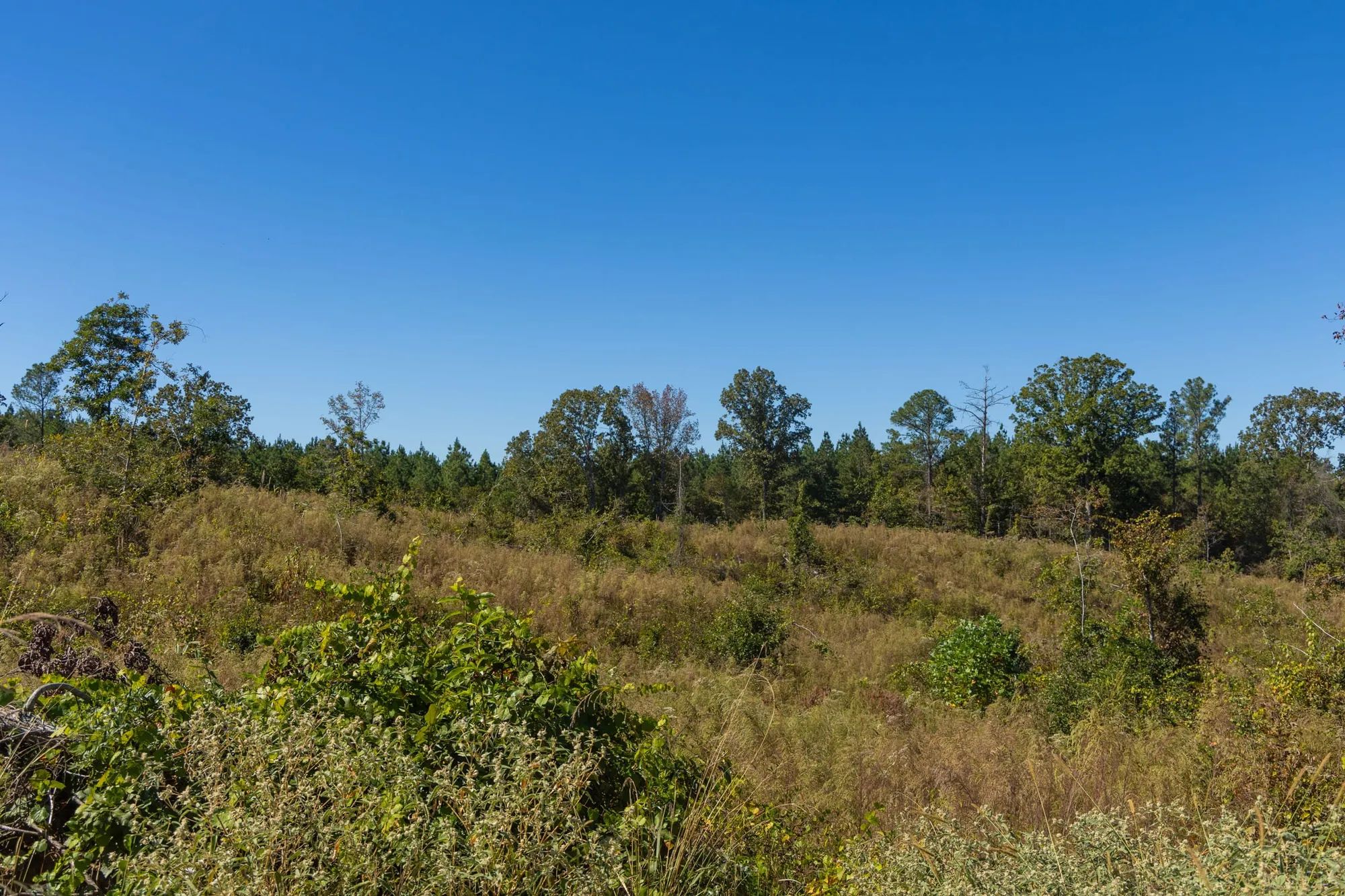 Meyer’s Ridge Tract 13 in Attala County, MS