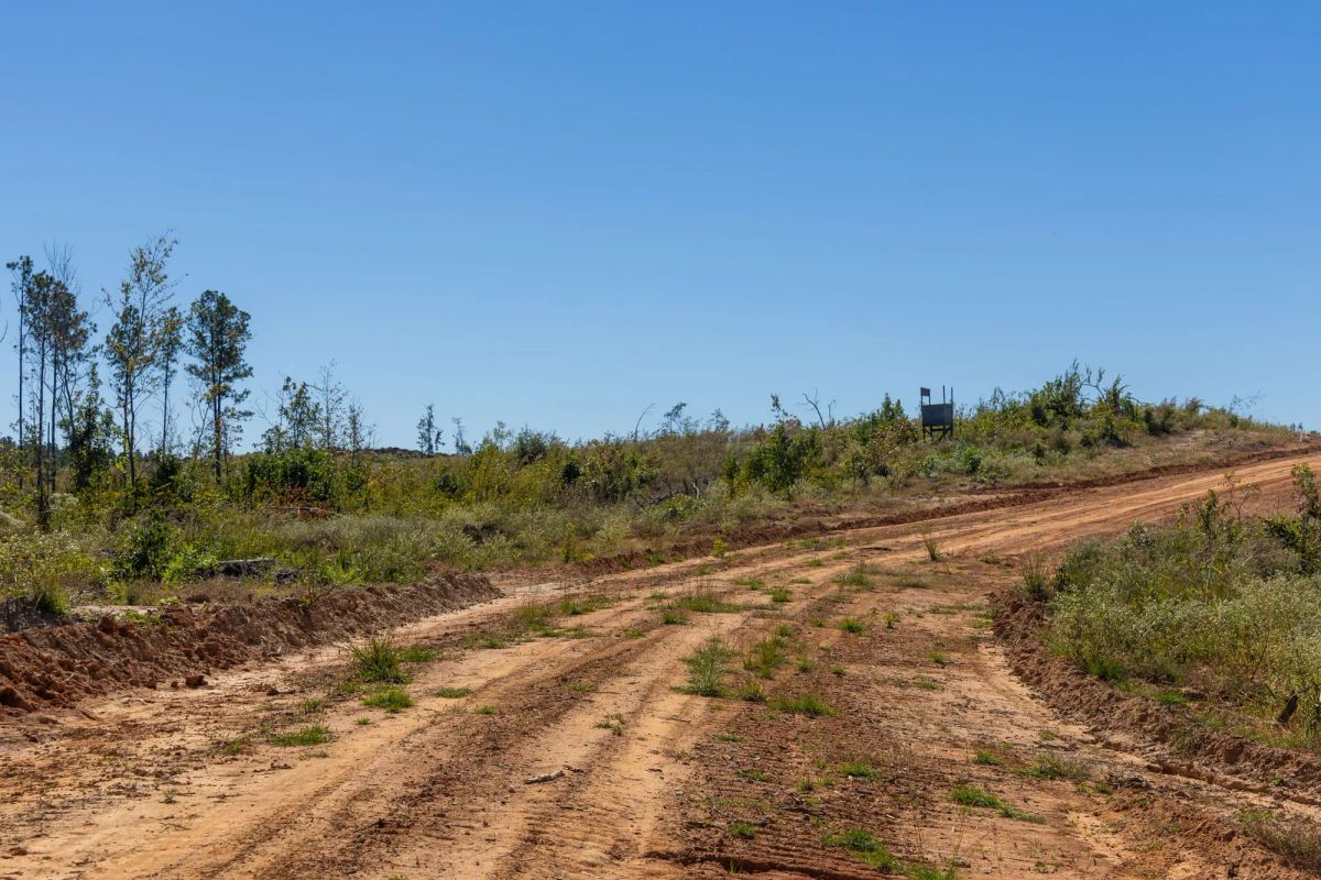 Decorative background for Meyer’s Ridge Tract 13 image 8