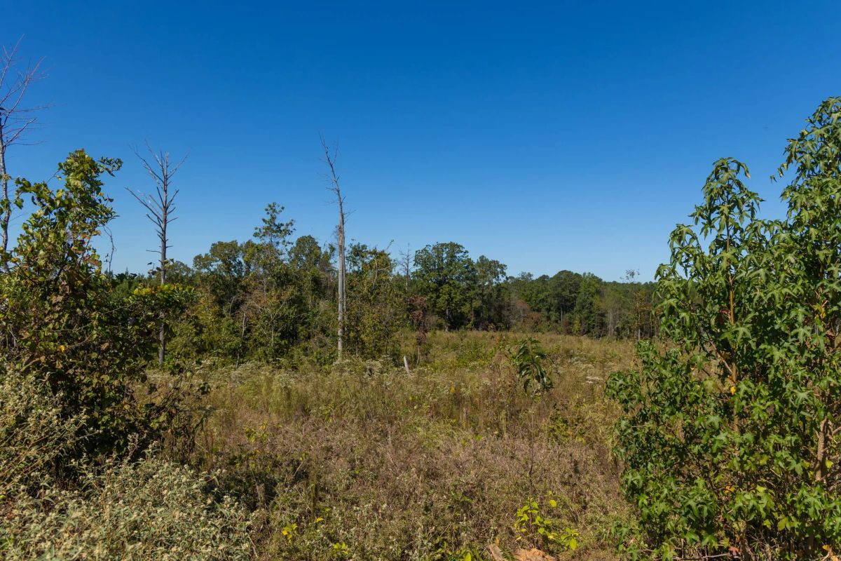 Decorative background for Meyer’s Ridge Tract 13 image 12