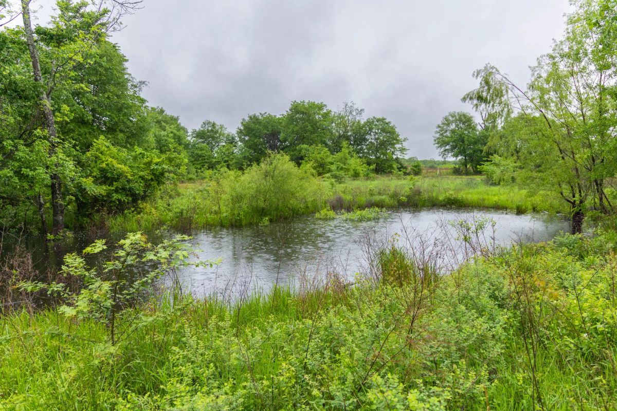 Harmony Hills Tract 20 - Main image