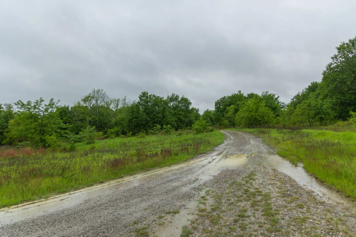 Harmony Hills Tract 20 - Image 2