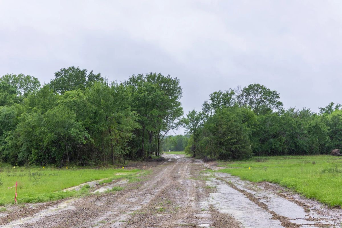 Harmony Hills Tract 20 - Image 3