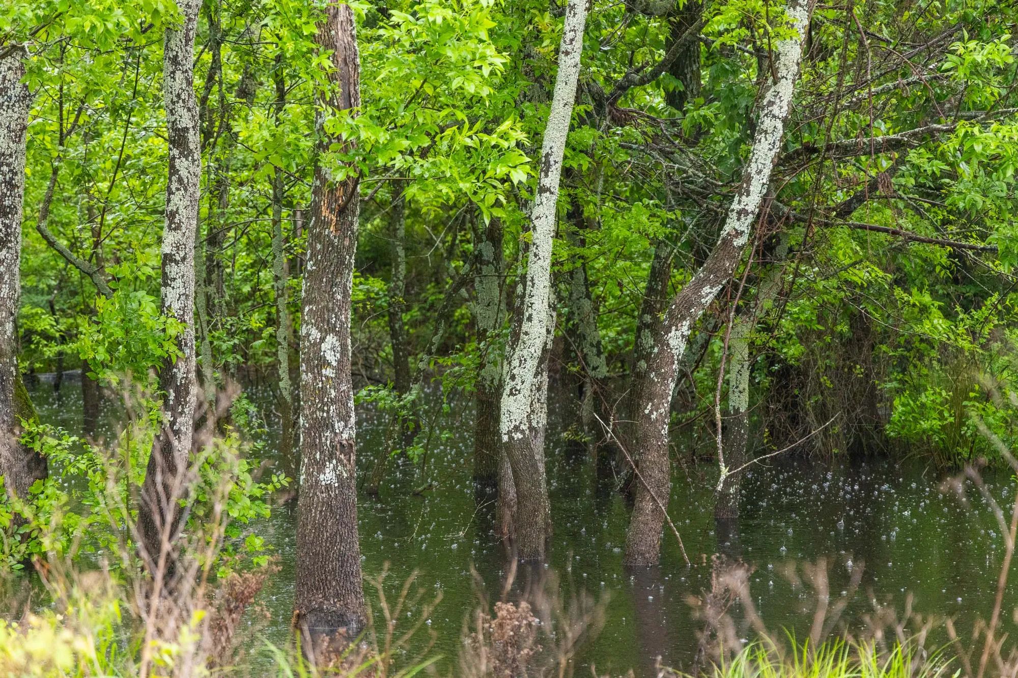Harmony Hills Tract 20 in Pittsburg County, OK