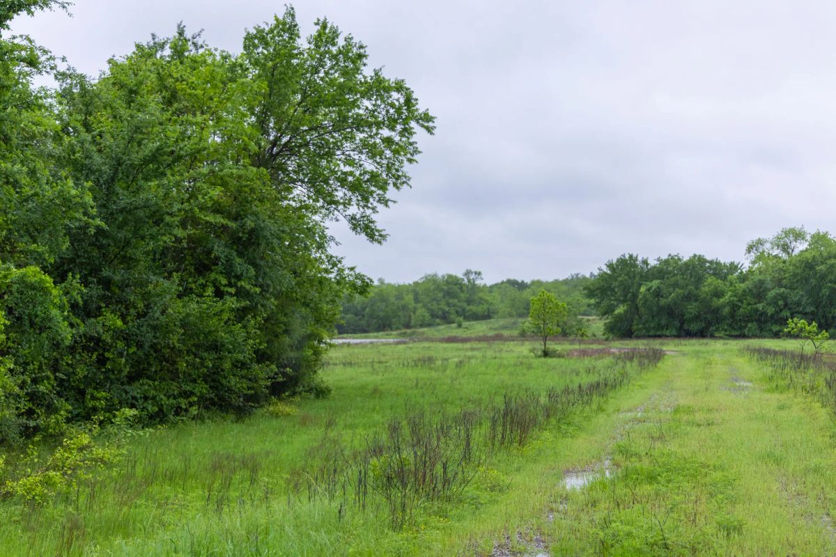 Decorative background for Harmony Hills Tract 20 image 5