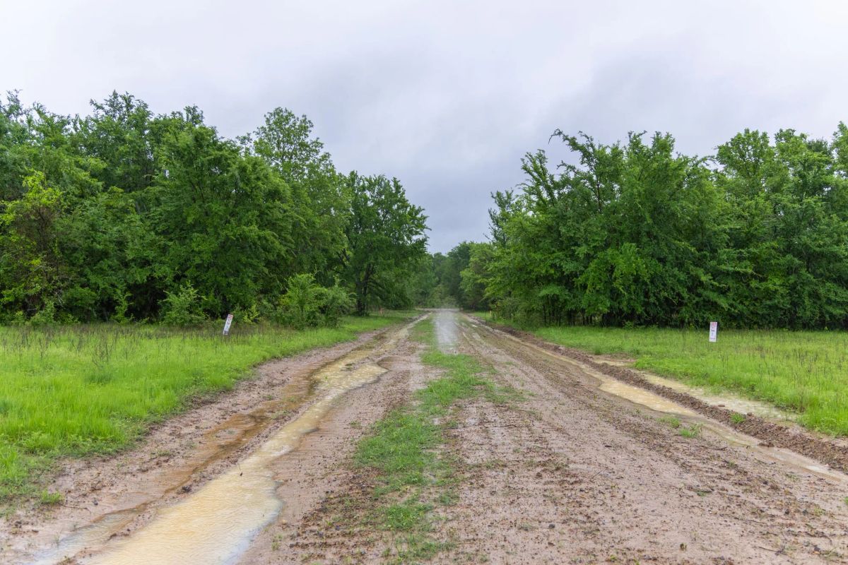 Decorative background for Harmony Hills Tract 20 image 7