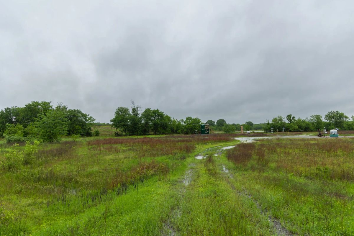 Decorative background for Harmony Hills Tract 20 image 8