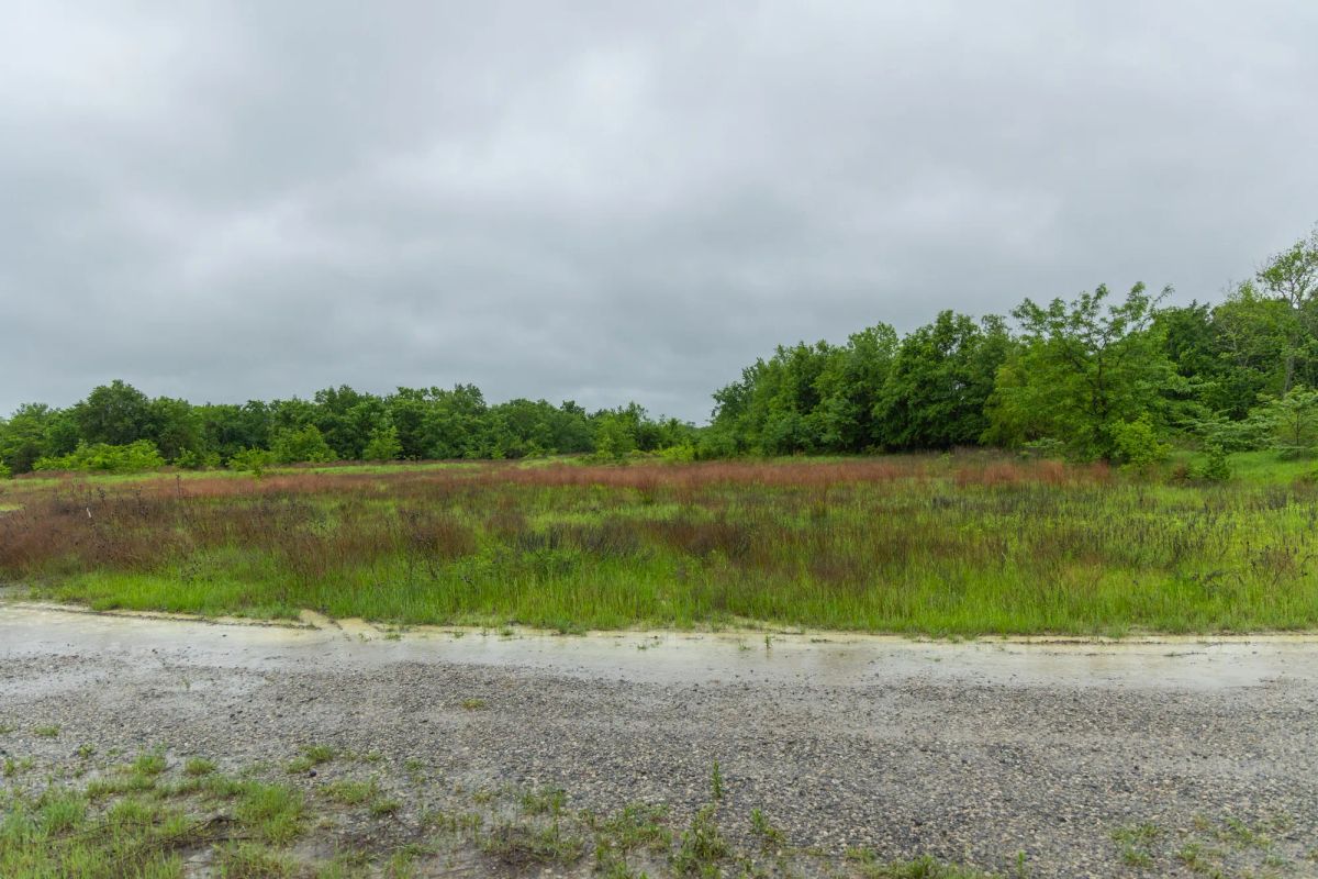 Decorative background for Harmony Hills Tract 20 image 9