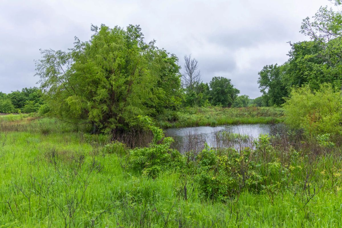 Decorative background for Harmony Hills Tract 20 image 10
