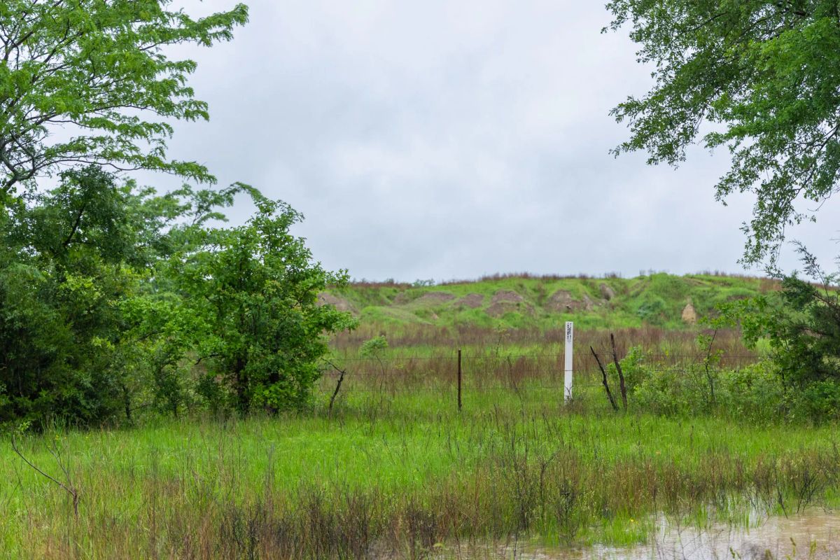 Decorative background for Harmony Hills Tract 20 image 12