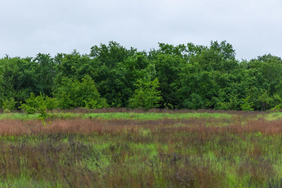 Decorative background for Harmony Hills Tract 20 image 13
