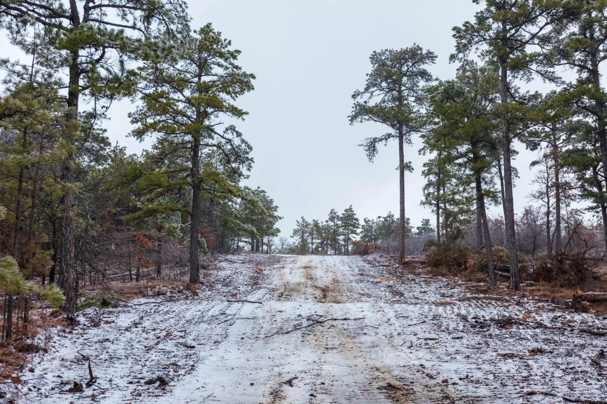 Decorative background for Stone Bridge Phase IV Tract 319 image 6