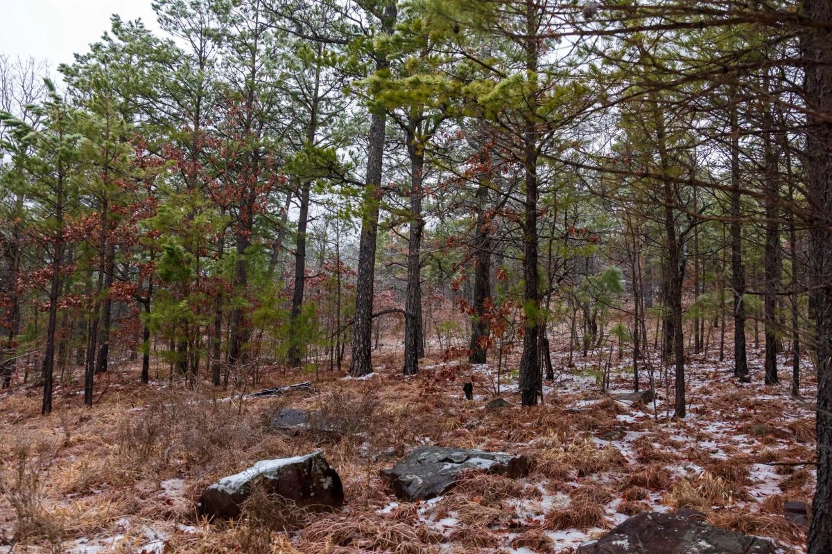 Decorative background for Stone Bridge Phase IV Tract 319 image 9
