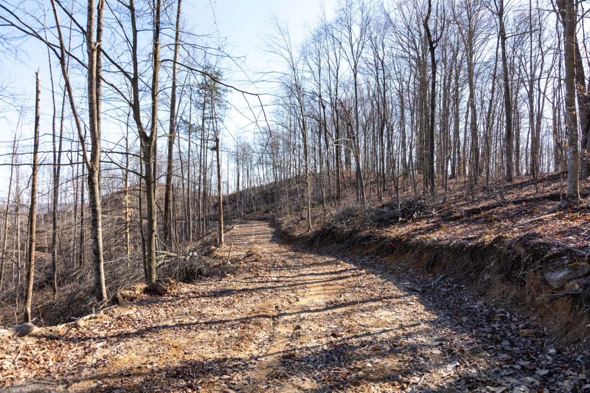 Creek Hollow Phase I Tract 18 - Main image