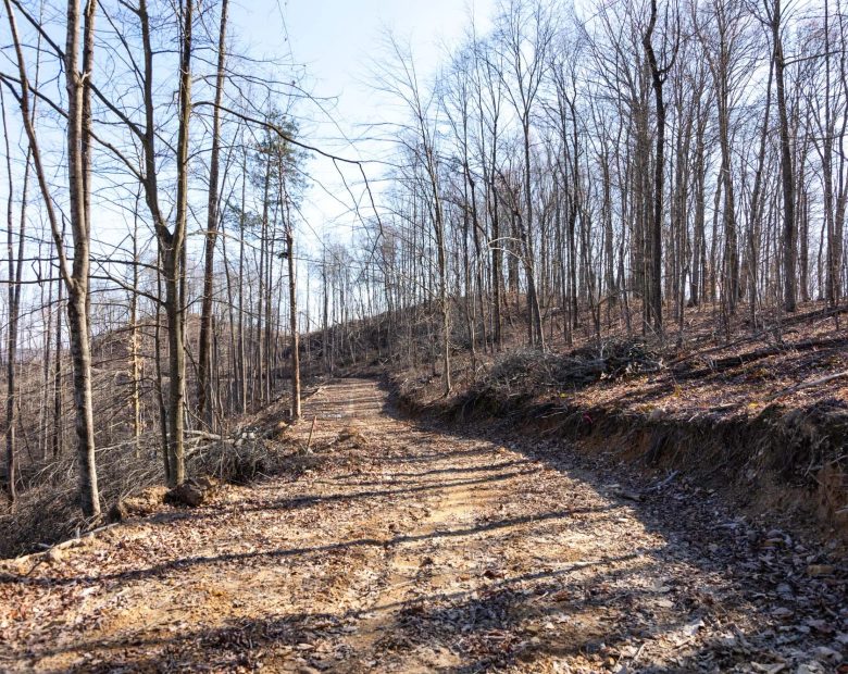 Creek Hollow Phase I Tract 18 in Rockcastle County, KY