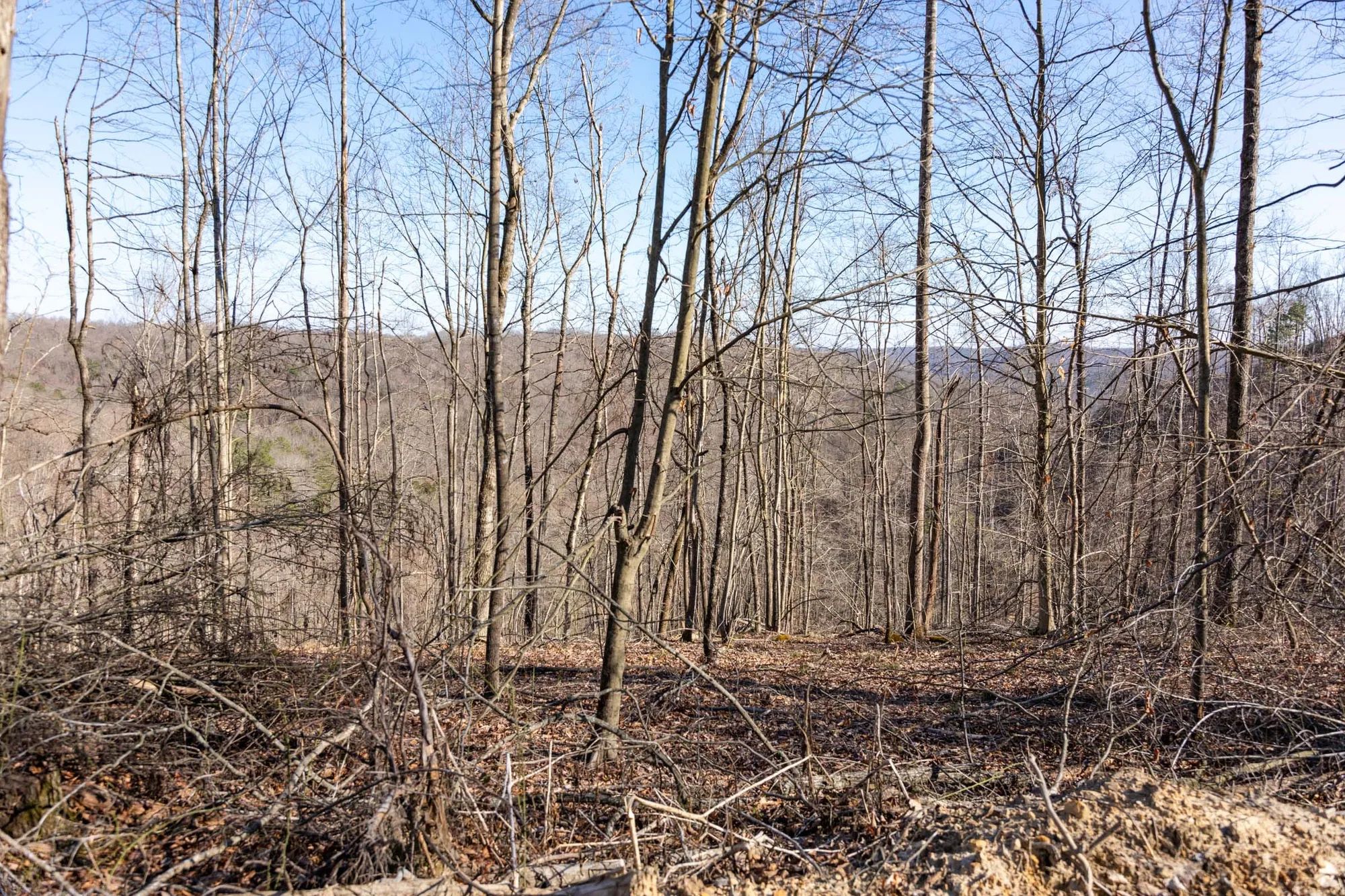 Creek Hollow Phase I Tract 18 in Rockcastle County, KY