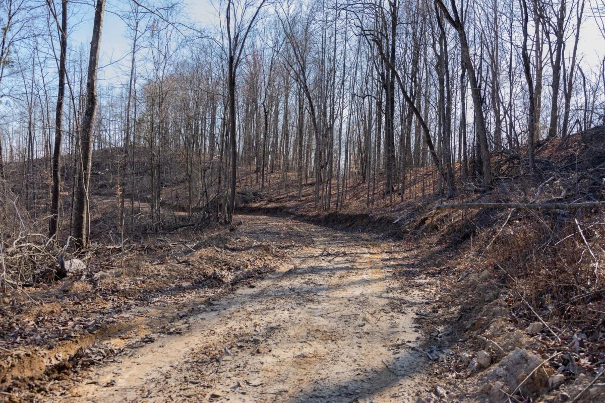 Creek Hollow Phase I Tract 18 - Image 3