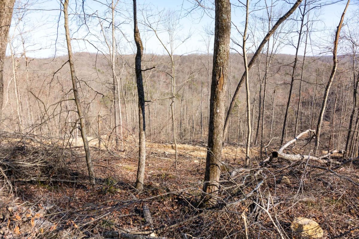 Creek Hollow Phase I Tract 18 - Image 4