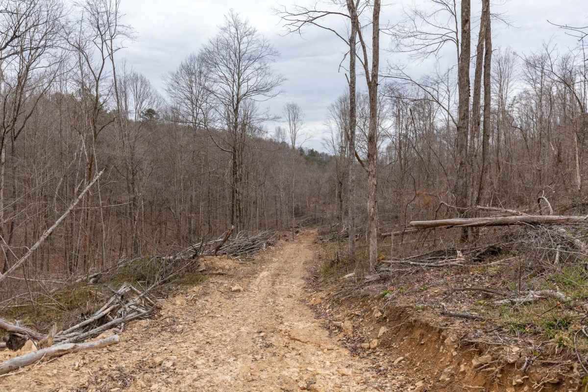 Decorative background for Creek Hollow Phase I Tract 18 image 5