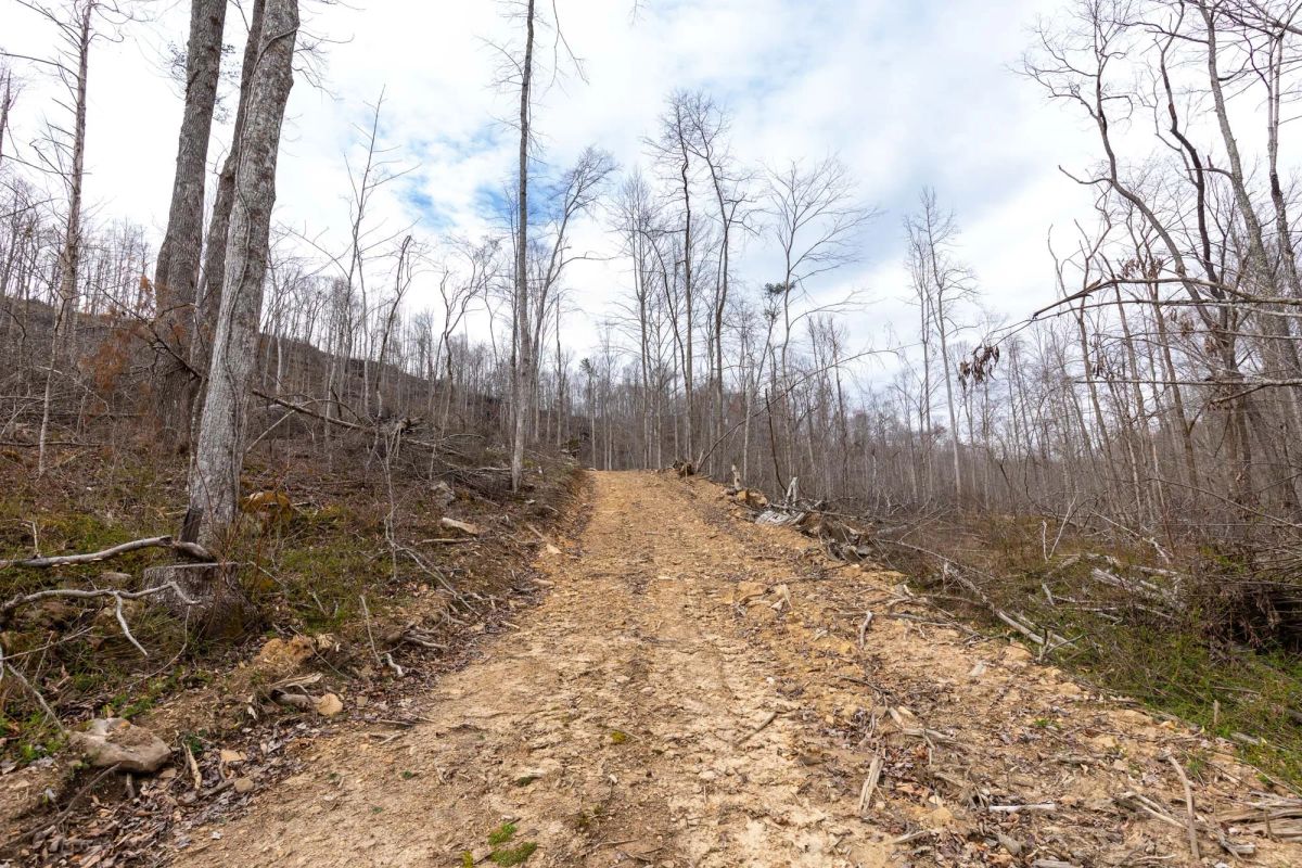 Decorative background for Creek Hollow Phase I Tract 18 image 7