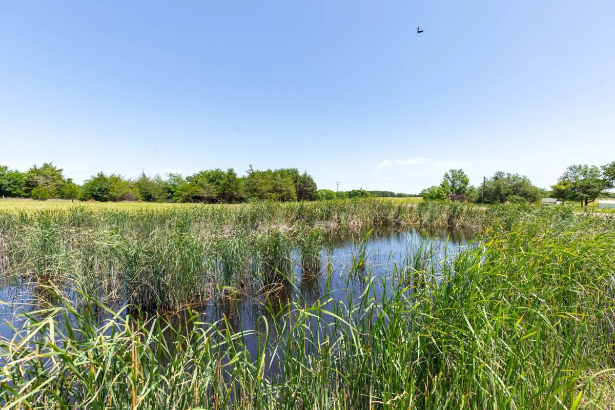 Wildflower Reserve Tract 2 - Image 3