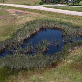 Wildflower Reserve Tract 2 in Hunt County, TX