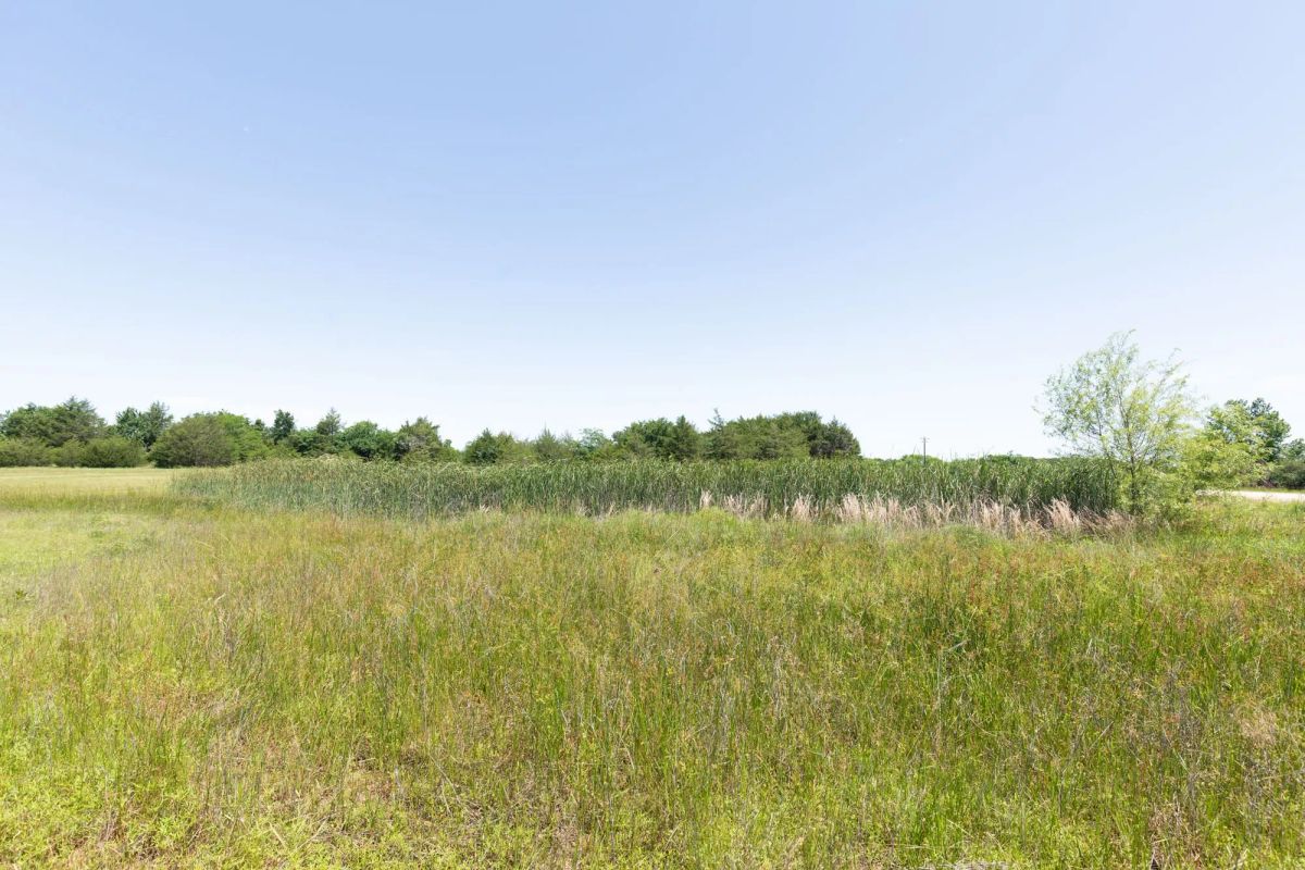 Decorative background for Wildflower Reserve Tract 2 image 9