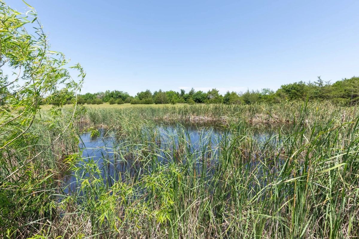 Decorative background for Wildflower Reserve Tract 2 image 13