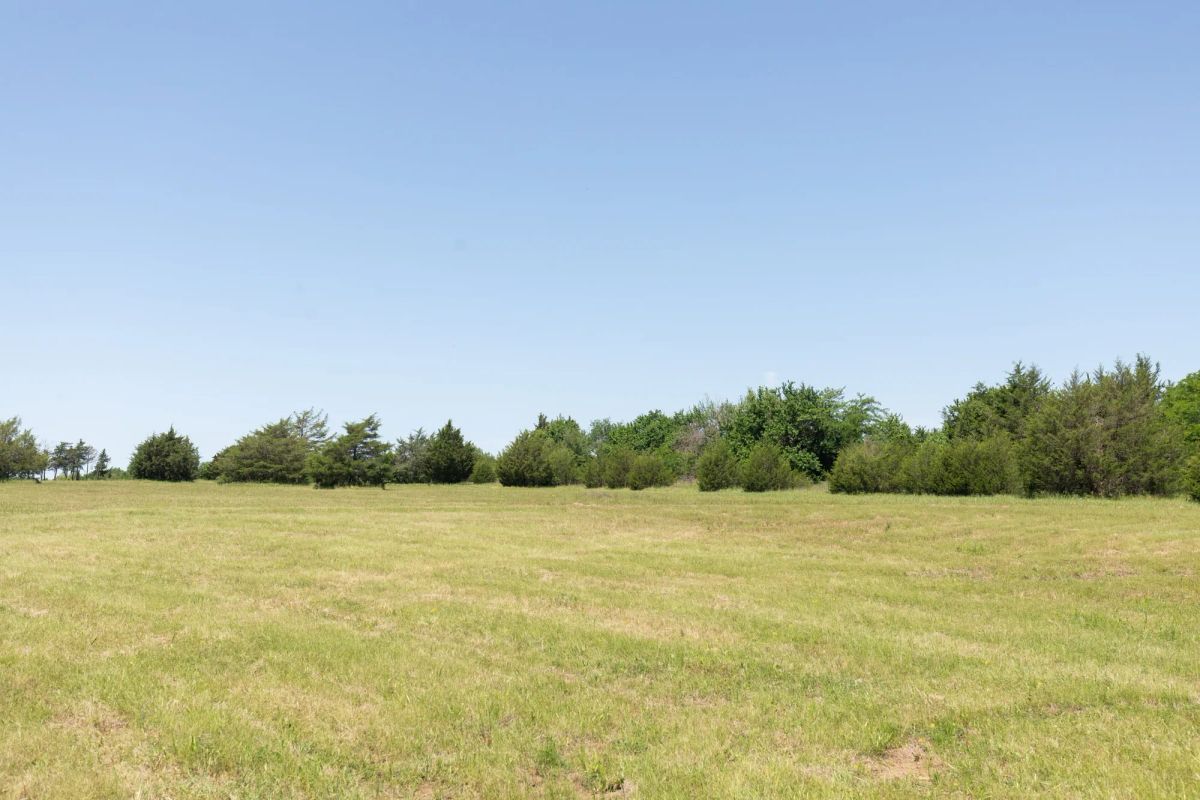 Decorative background for Wildflower Reserve Tract 2 image 14