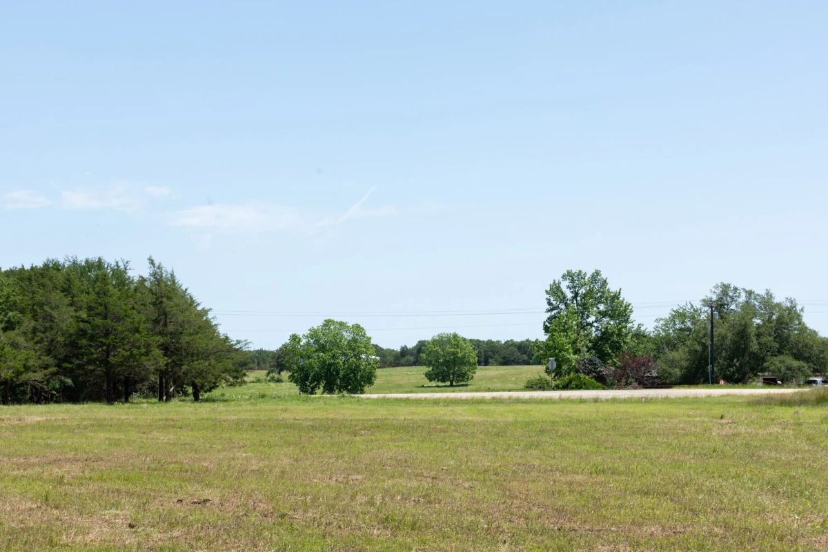 Decorative background for Wildflower Reserve Tract 2 image 16