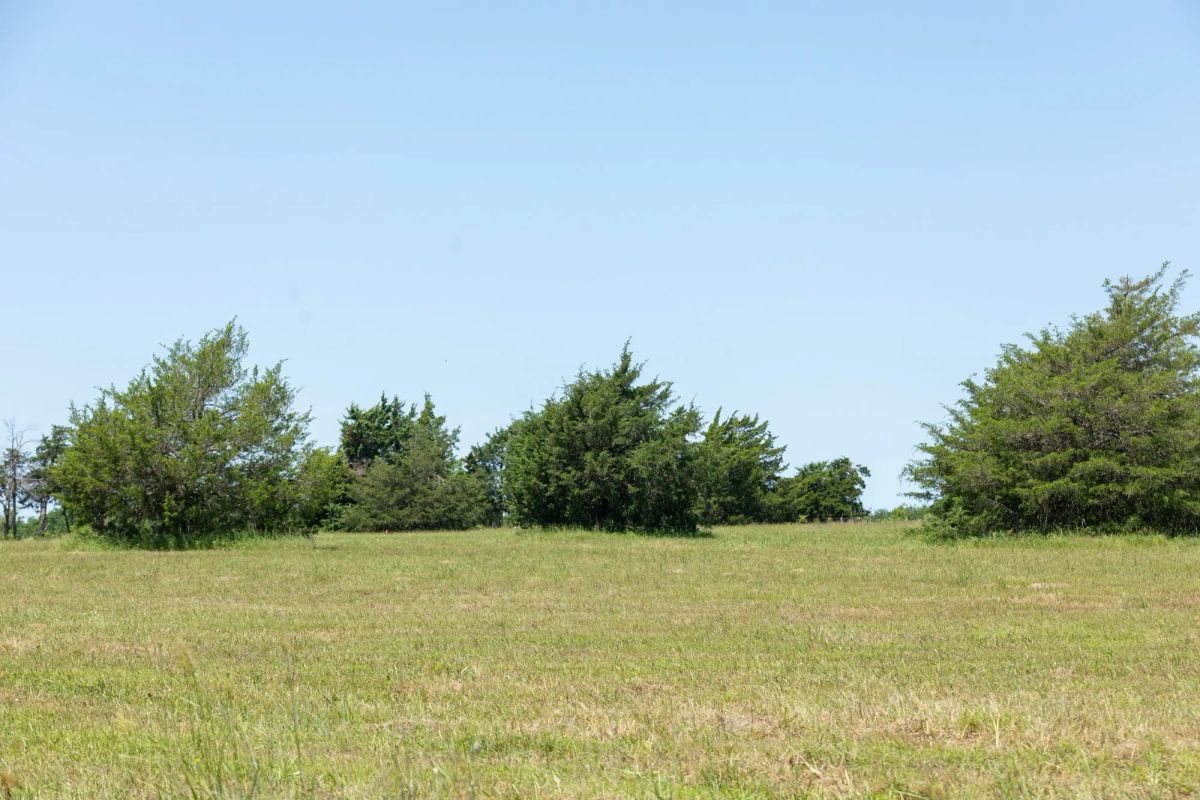 Decorative background for Wildflower Reserve Tract 2 image 18