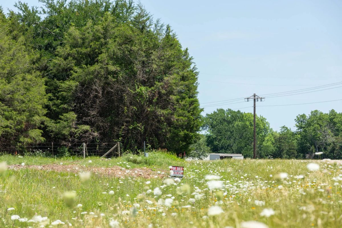 Decorative background for Wildflower Reserve Tract 2 image 19