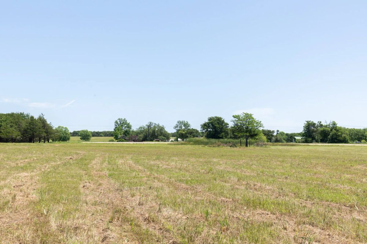 Decorative background for Wildflower Reserve Tract 2 image 20