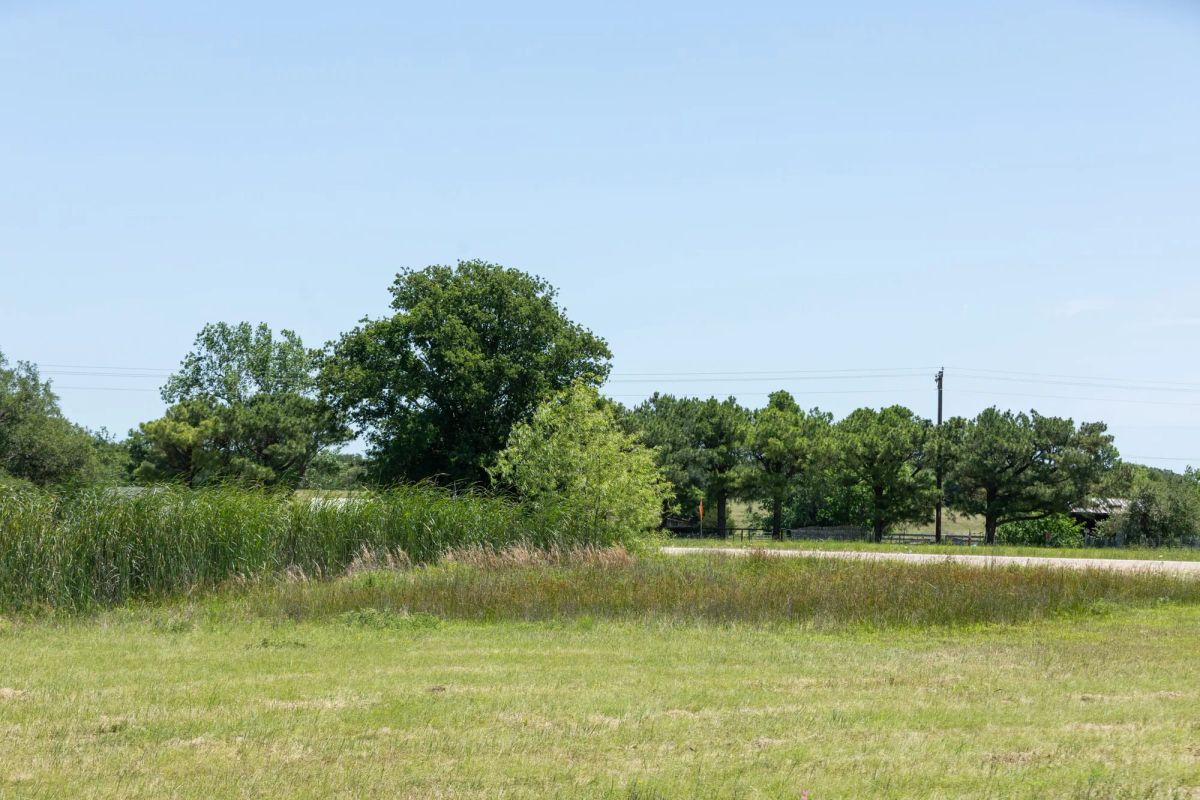 Decorative background for Wildflower Reserve Tract 2 image 21