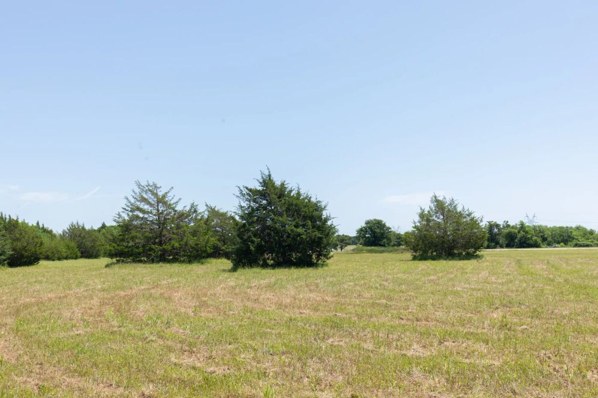 Decorative background for Wildflower Reserve Tract 2 image 22