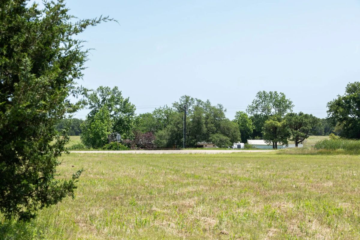 Decorative background for Wildflower Reserve Tract 2 image 23