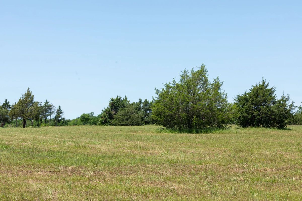Decorative background for Wildflower Reserve Tract 2 image 24