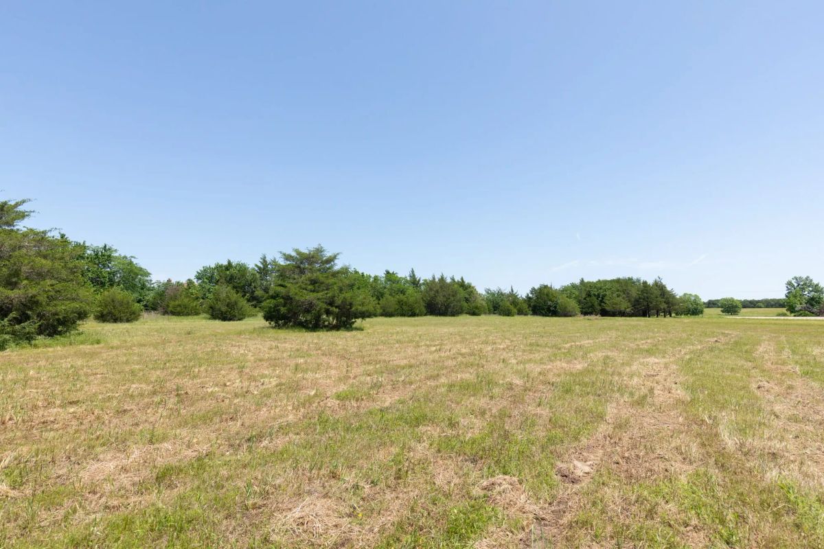 Decorative background for Wildflower Reserve Tract 2 image 26