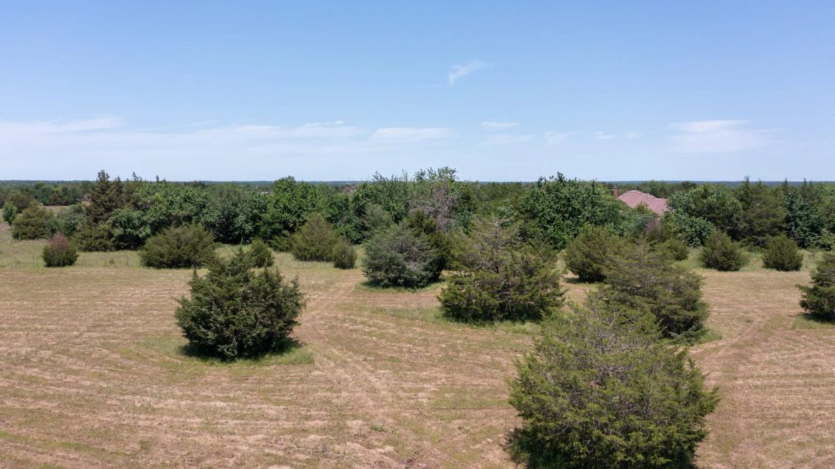 Decorative background for Wildflower Reserve Tract 2 image 27