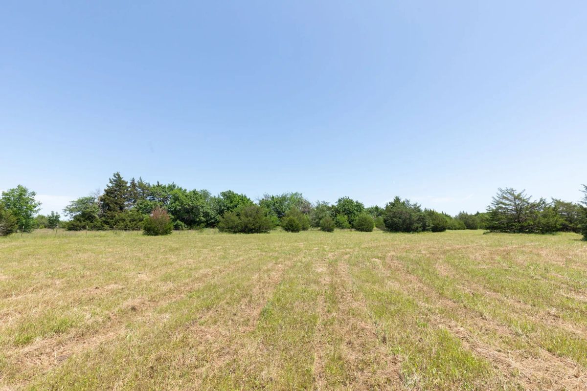 Decorative background for Wildflower Reserve Tract 2 image 28