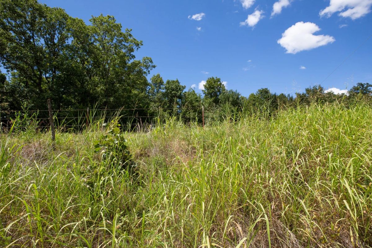 Paradise Valley Tract 20 - Image 3
